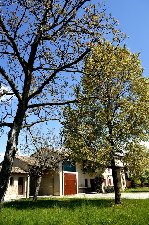 Agriturismo Ca Roer San Zenone Ngoại thất bức ảnh